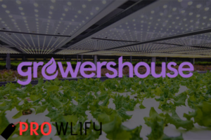 Growers House Discount Code: Save Big on Your Gardening Essentials